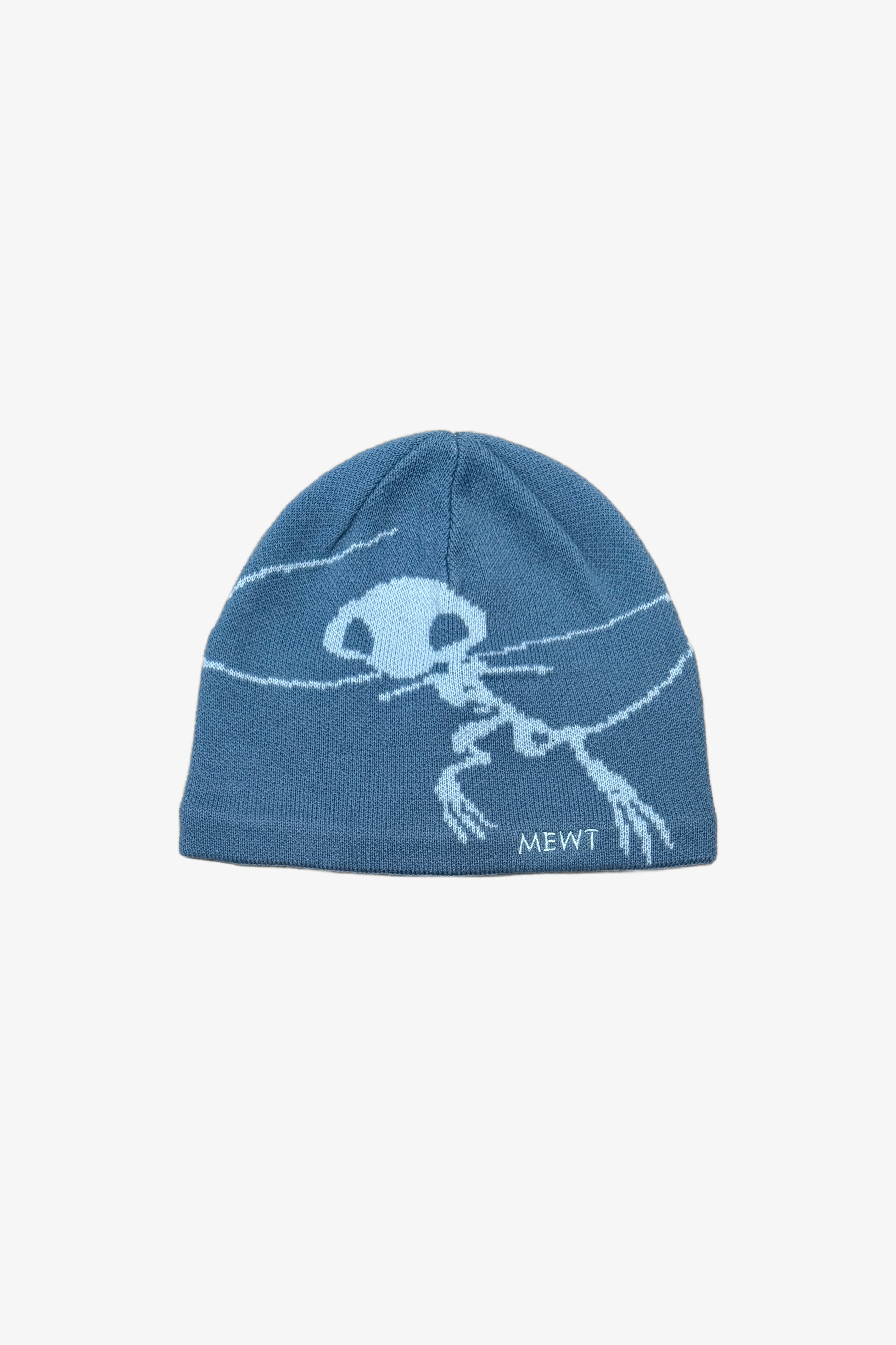 blue fossil beanie